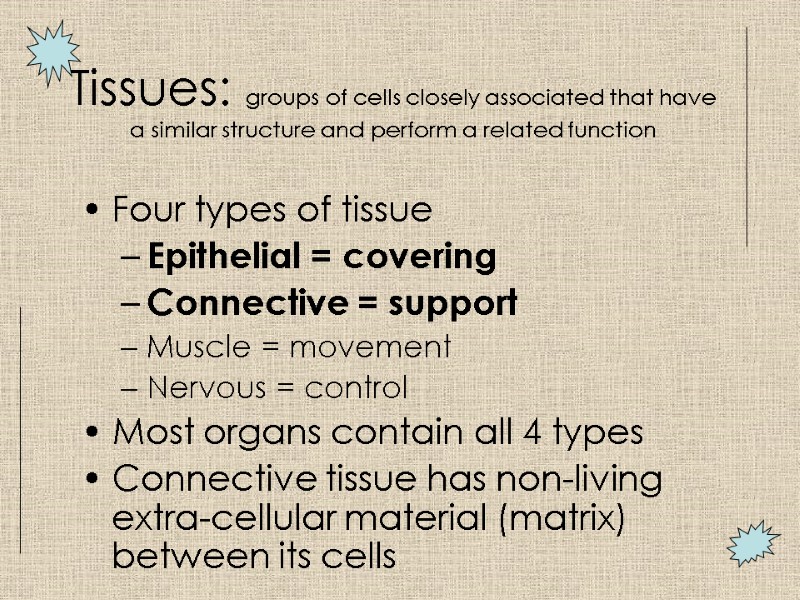 Tissues: groups of cells closely associated that have a similar structure and perform a